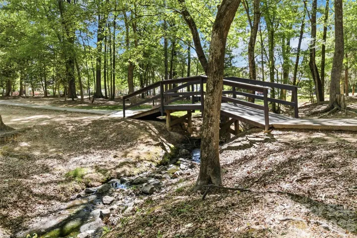 Stream and bridge park
