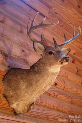 1170