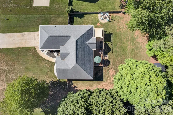 Birds Eye