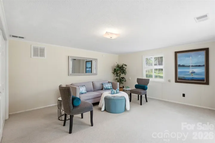 Bonus room on the lower level