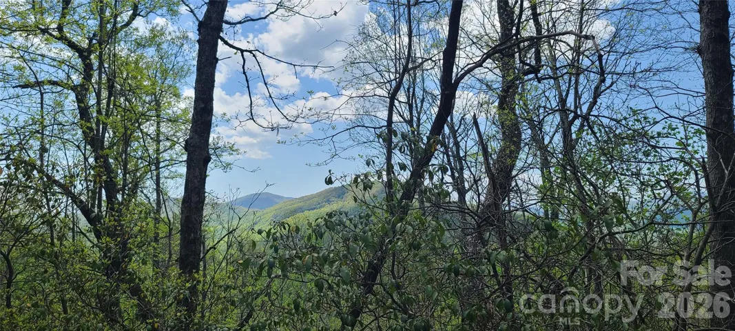 Photo taken from neighboring lot to show some of your potential  views.