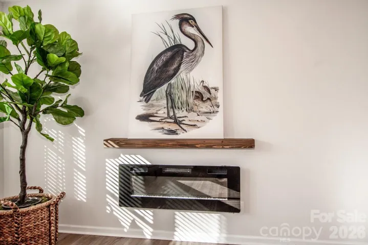 Electric fireplace to convey
