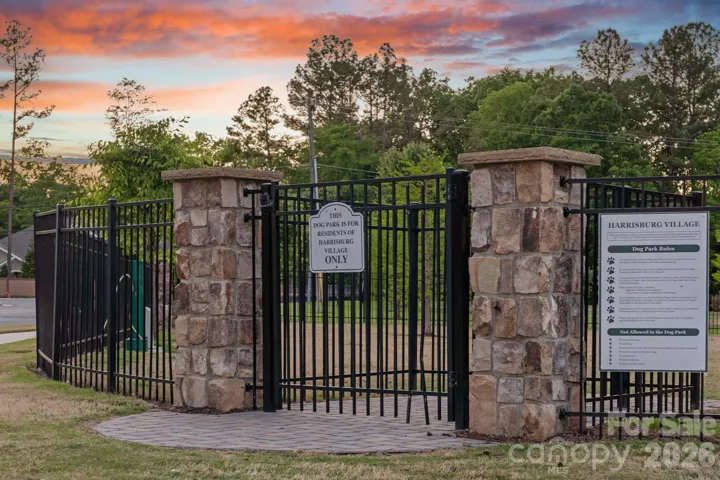 Dog Park