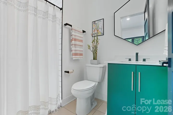 Lower level full bathroom 