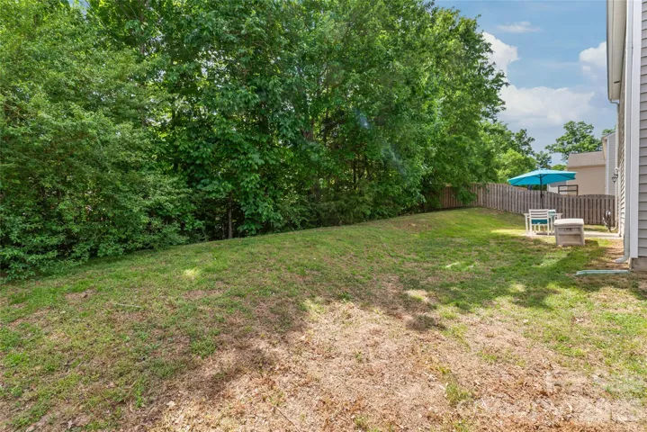 Treelined Backyard