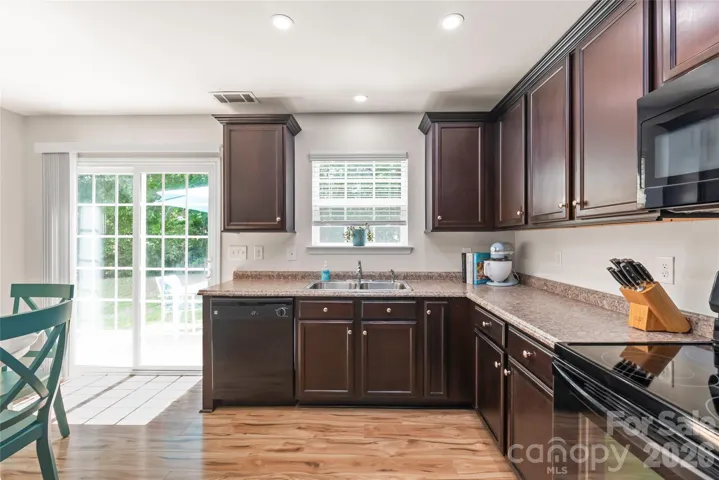 Sink Overlooking Backyard