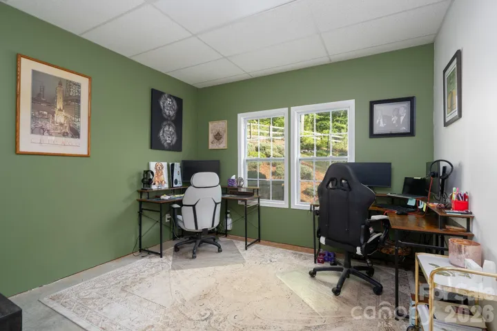 Flex Space in Basement