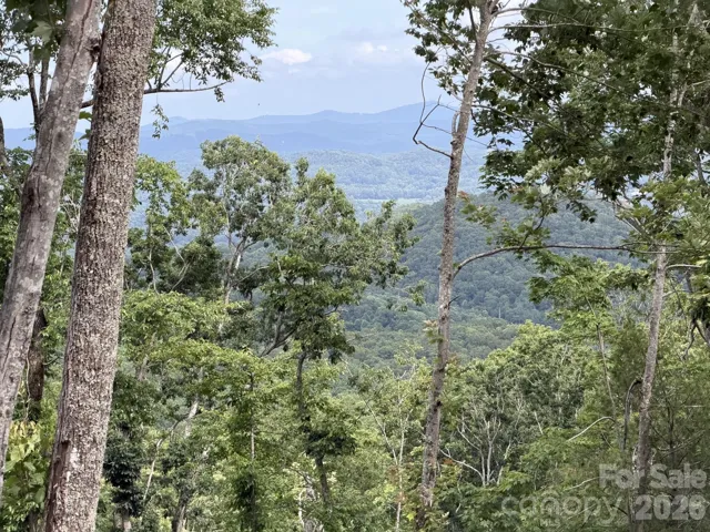 View 06/18/26