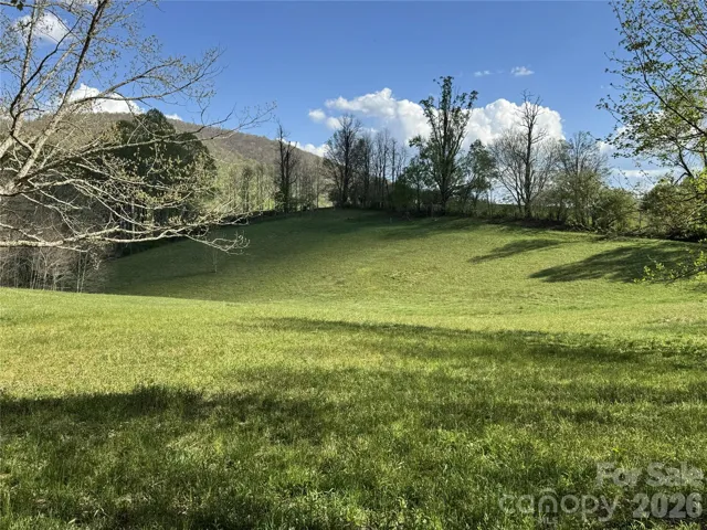 Lot 47B Possible Home location at top center treeline