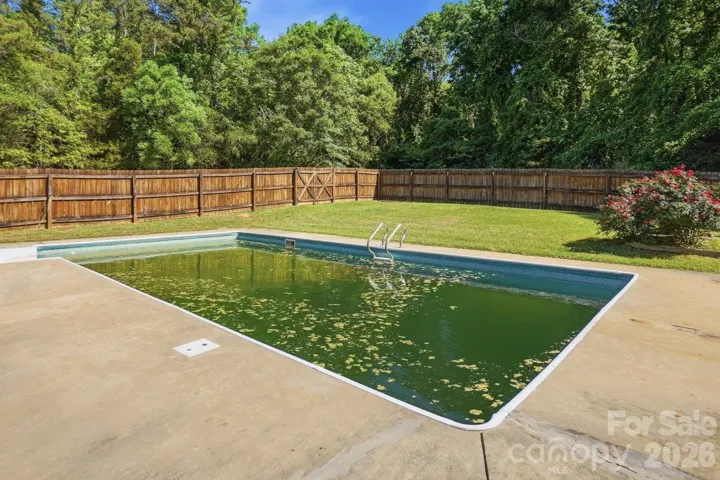actual pool water