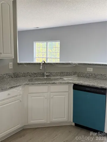 New Countertops and dishwasher