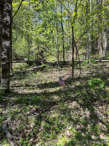 Lot# 34 Buckeye Creek Rd, Banner Elk, NC