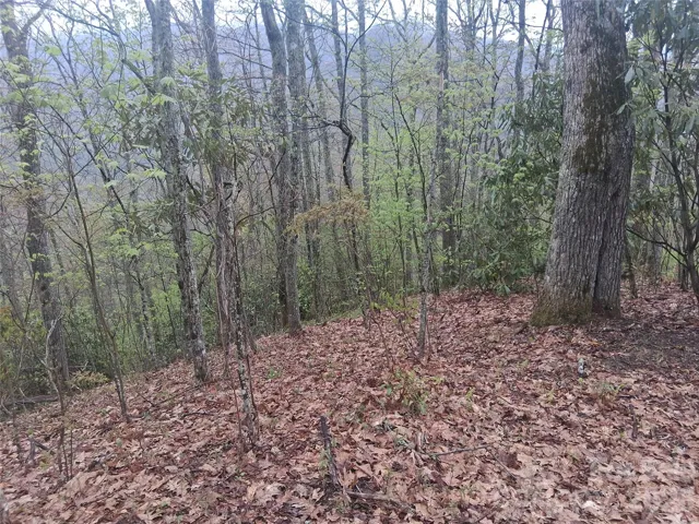 Walking out the knoll on the property