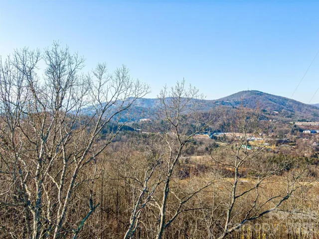 Exceptional value in Crest Mountain!