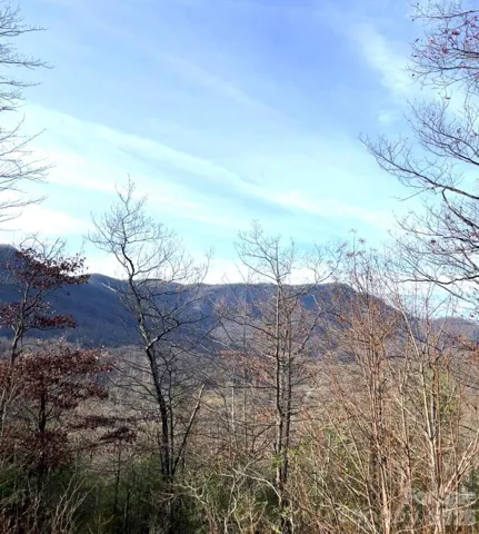 Winter View from Top of Lot (Laurel Ln)