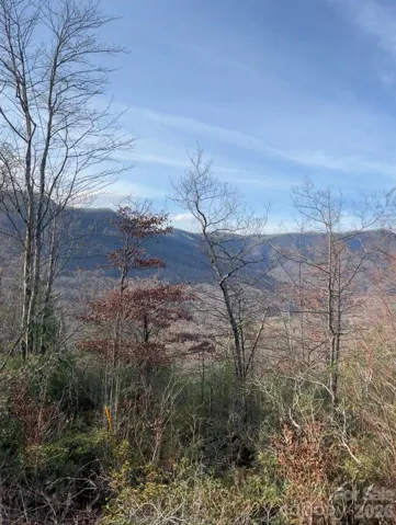 Winter Views from Top (Laurel Ln)