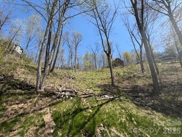 HOME-SITE 20 - CLUB AMENITIES NEAR RIDGE LINE!