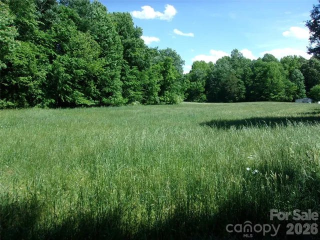 open area seeeded in fescue
