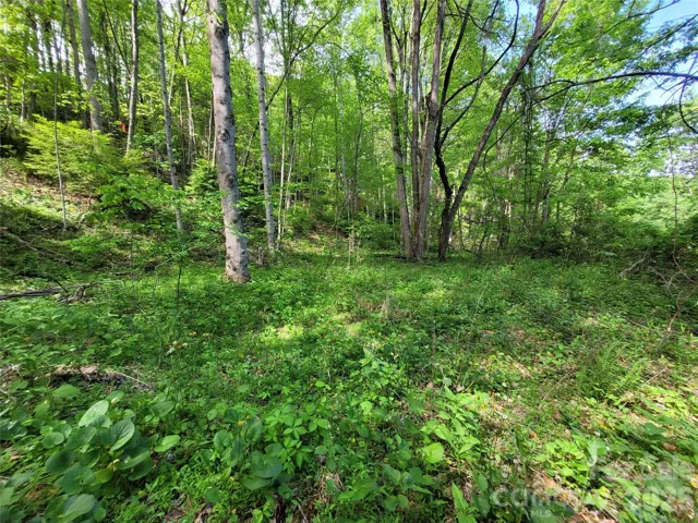 Build site