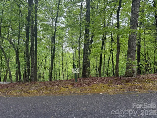 Lot 20...Awaiting your new home design