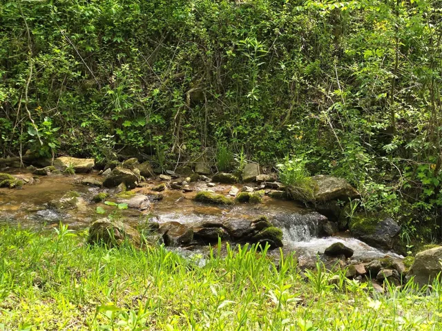Roaring Fork Creekfront