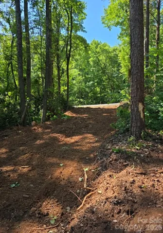 View from build site / roughed driveway to Montford Ave.