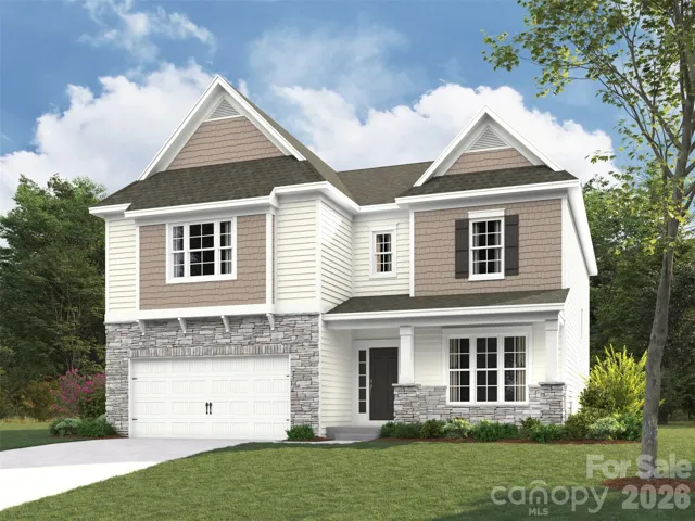 Elevation rendering only