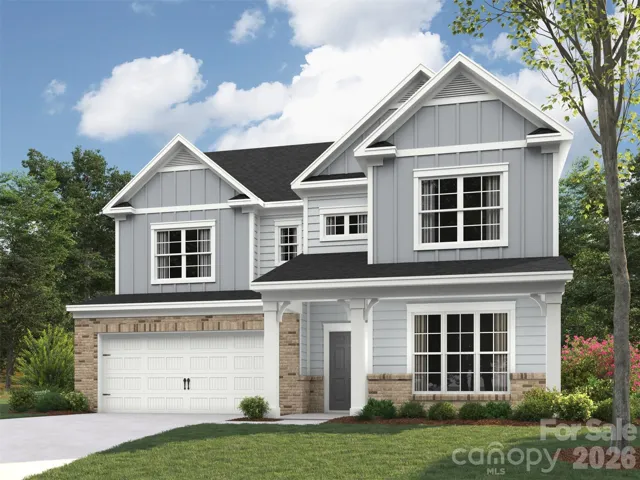 Elevation rendering only