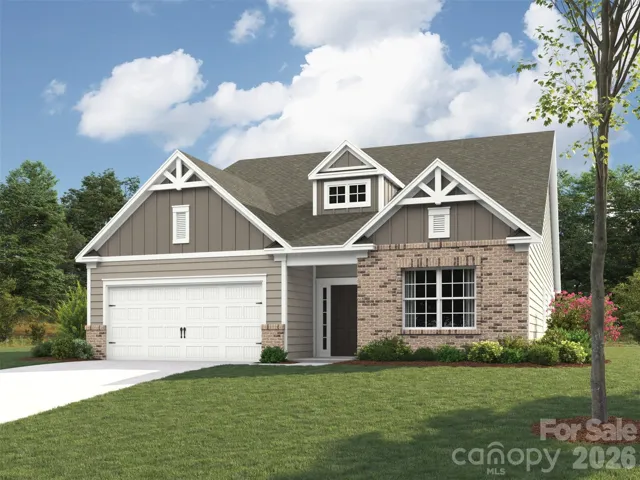 Elevation rendering only