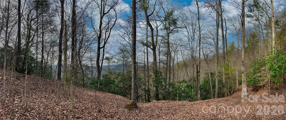 Nice build area with long range view and wooded privacy