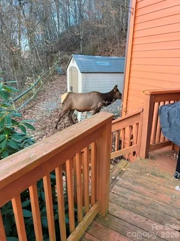 1170