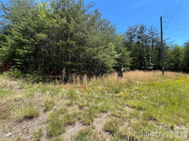 Property starts to the right of the telephone poll