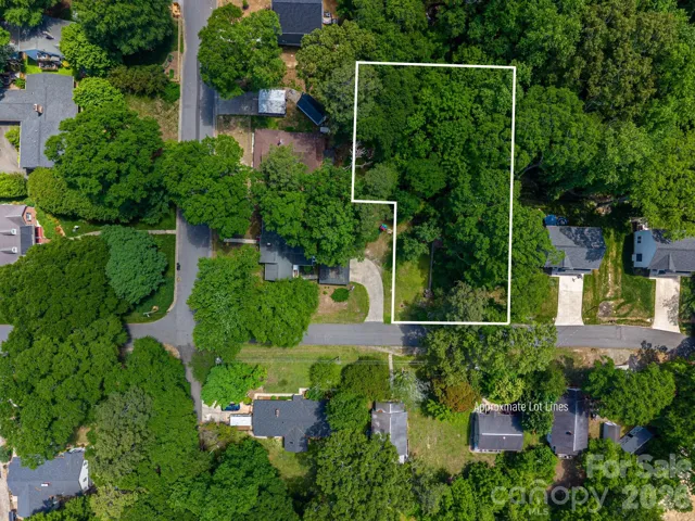 Aerial View with Approximate Lot Lines