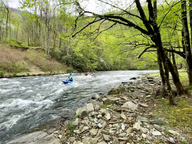 Watch the boats and kayaks paddle by