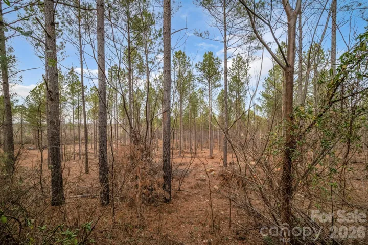 23.48 acres perfect for a private residence, hunting property, or family compound.