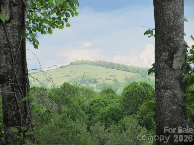 Potential View