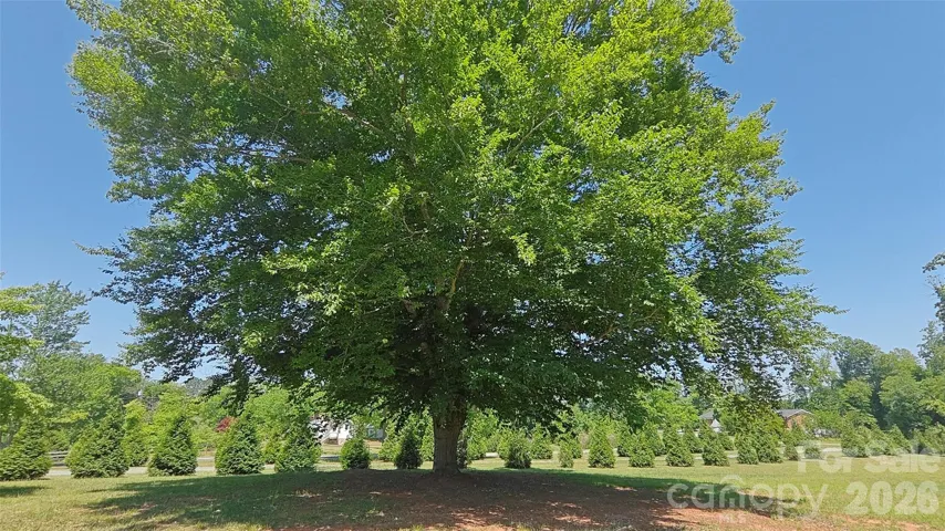 1170