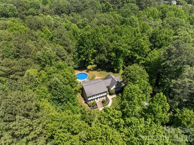 Privacy & Pool