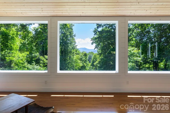 Mountain View from Living Area