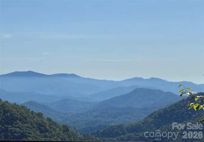 Potential Views