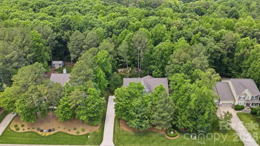 Surrounded by trees