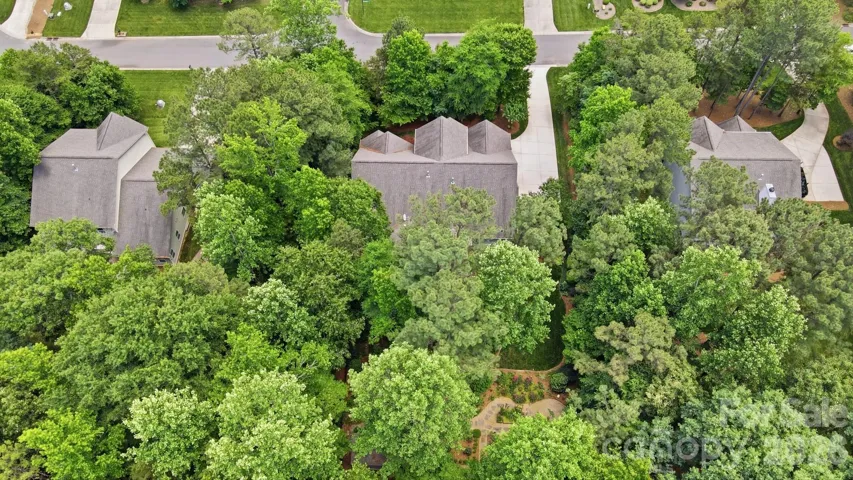Surrounded by trees