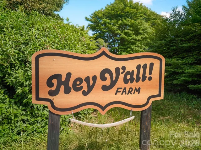 Welcome to Hey Y'all Farm!