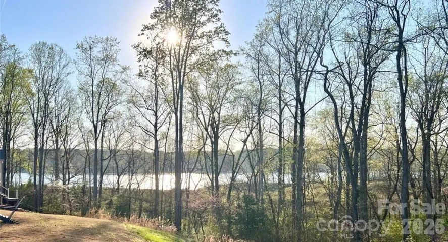 Partial Lake View in the Spring