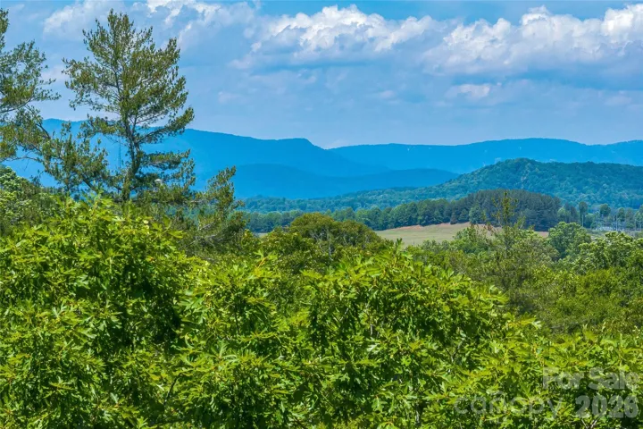View from build site