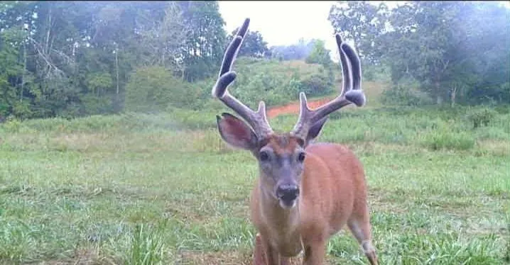 1170