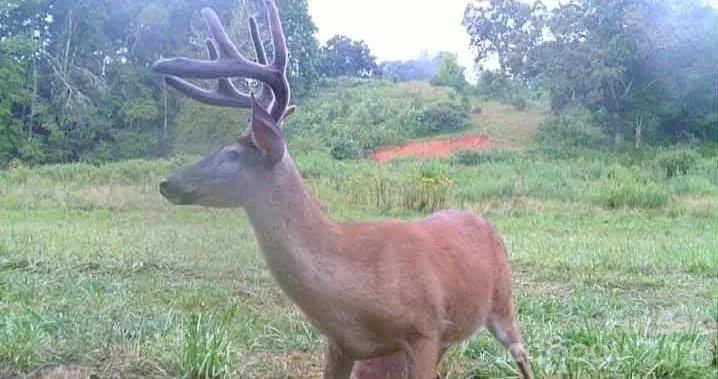 1170