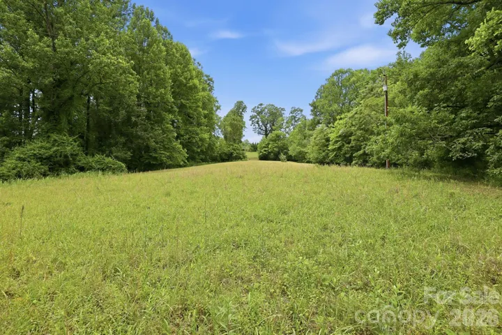Great spot to build or graze animals