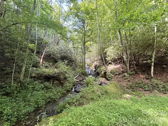 Nice lot with a beautiful little water fall.