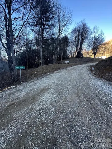 Driveway entering the property from Lick Log Road